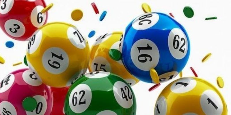 Quy trình nuôi dàn đề 36 số hiệu quả