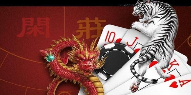 Bật mí bí kíp chơi rồng hổ bách chiến bách thắng