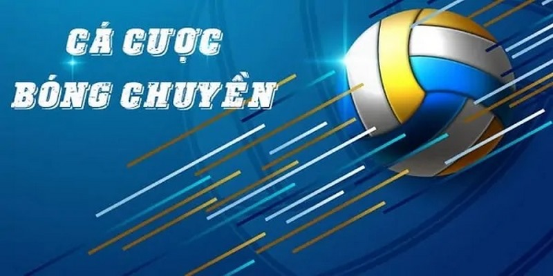 Cá cược bóng chuyền
