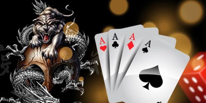 Bí kíp chơi rồng hổ